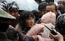 浏览客风霜雪雨激情在,道是无晴却有情还冷吗
