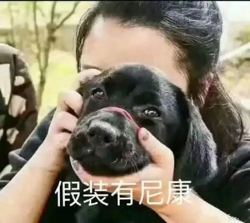 最美诗画比赛结果公布啦
