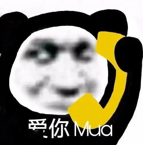 今日份熊猫头表情包
