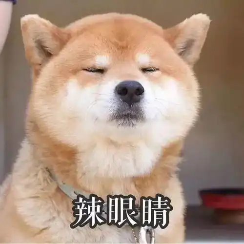 收好了狗年表情包大全有了这些,过年斗图不再怕

