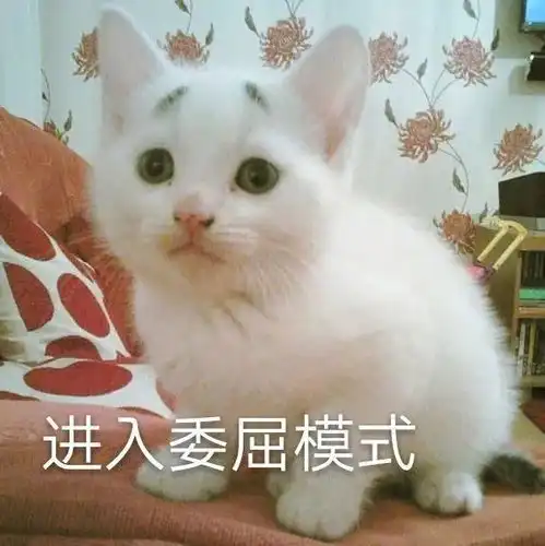 表情包进入委屈模式

