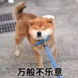 狗年缺表情包微信群无法开怼那么请收下这一波豪华表情包套餐
