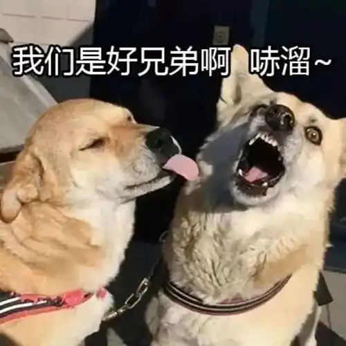 河南最养眼的校园battle,你准备好了吗

