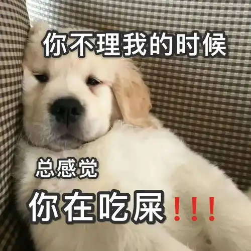 表情包生活费篇
