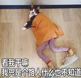 绝育路表情包扮成