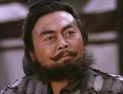 三国时期蜀汉猛将中唯一的文人,孙子兵法三十六计中,他独占两计