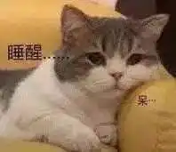 求表情包,谁有这样的卡通猫咪表情包呀
