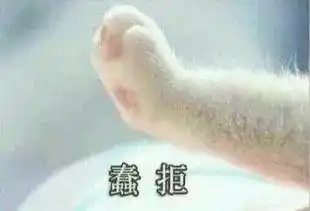 我这一爪下去,你可能会...被萌到