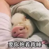 我怕来不及我要抱着你表情包
