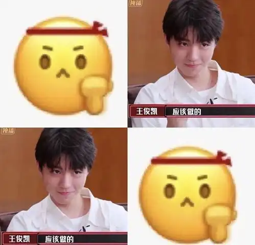 柴犬表情包搞笑王俊凯