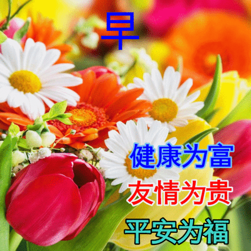 周三早上好中老年表情包,话不在多,贴心最真送给最在乎的人
