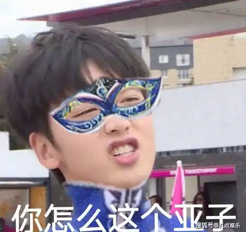 陈宥维同款游乐王子表情包出炉,原谅我不厚道地笑了

