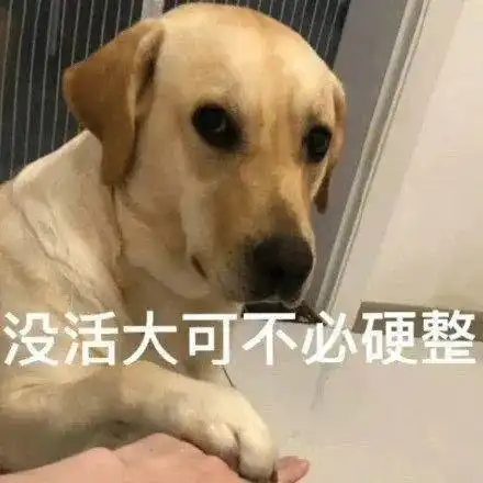 杂七杂八的表情包,我可太喜欢了
