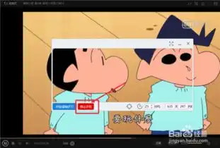 录制动态表情,视频转gif动态图教程
