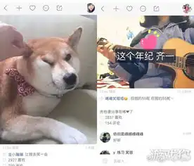 快手gif怎么发长视频,录制过程中注意事项
