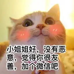 关于小姐姐的斗图表情包合集小姐姐我爱你们
