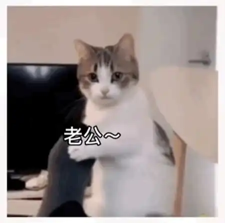 抖音表情包老公给我买个吧,这个冬天真的好忙
