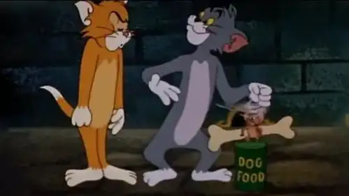 猫和老鼠小黄猫敌友不分,为了一块骨头,竟把汤姆猫活埋了
