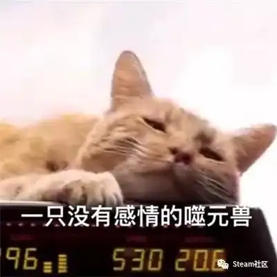 可怕一只橘猫撑起半部惊奇队长的票房被网友恶搞做成表情包网友大橘为重
