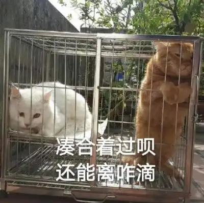 就算赔了球场又送分,他们也只想送走老板
