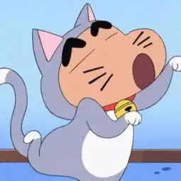 囤茶
