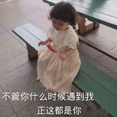 表情包喵咪表情包你的小宝贝饿了
