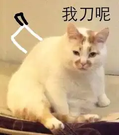 打人,就是要打脸
