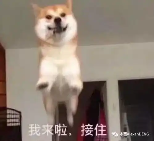 外面的世界很大
