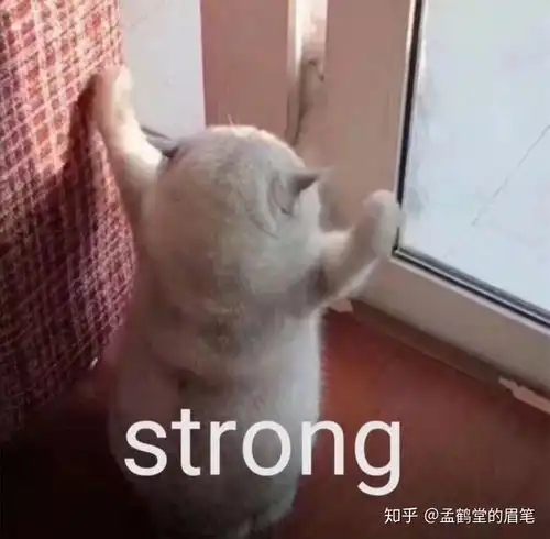 让人崩溃的耳石症后遗症
