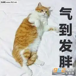 我可以但是你不行王菲表情包赢一把就睡觉配图表情包下载乐游网游戏下载
