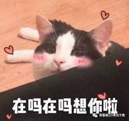 年后找工作不用愁团市委为您精选热门职位千万别错过
