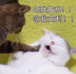 凉生里的小九长着一张董洁脸

