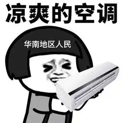 申晨间正宗13点台风别人吹冷气,上海人吹空调外机
