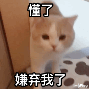 别敬屎不吃吃罚屎丨第312期喵表情包
