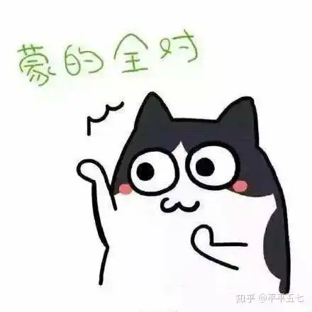 有趣的竞赛战队名称
