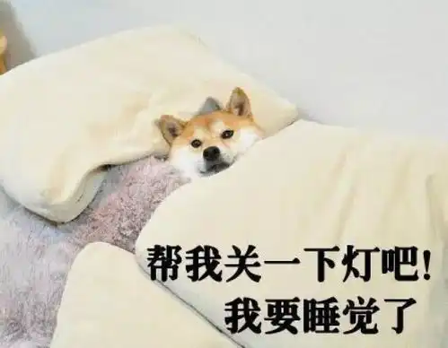 作为一名铲屎官,没点表情包还怎么活
