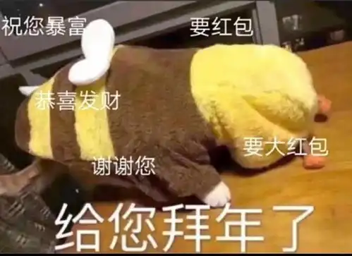 国收藏夹
