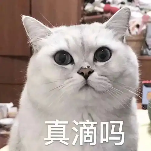 动物表情包,太可爱啦
