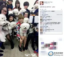 蔡依林带宠物与粉丝玩自拍爱犬表情可爱图
