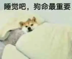 年轻人点赞最高的养生哲学,爸妈看完笑喷了
