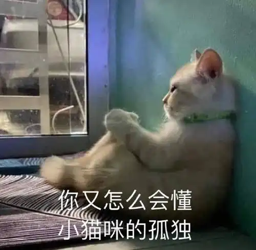 情侣聊天必备表情包我爱你的时候你才是宝贝
