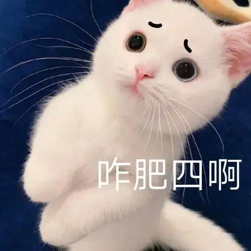 超适合发朋友圈的俏皮文案超可爱的表情包
