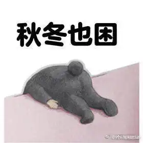 邢菲doki超全的邢菲资讯粉丝直播活动集合
