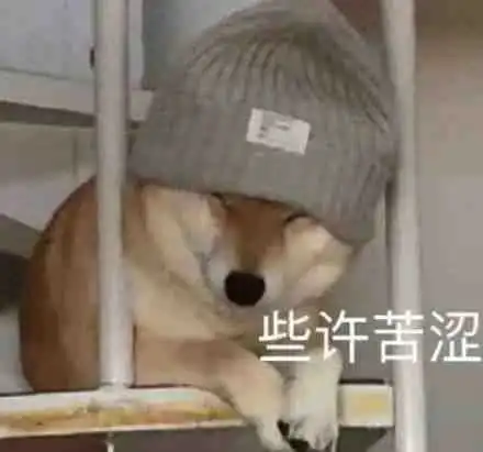 表情包你怎么会懂猫咪的孤独呢
