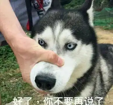 表情闭嘴表情包带字
