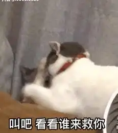 嘉任伪ntr水管工x傻太太
