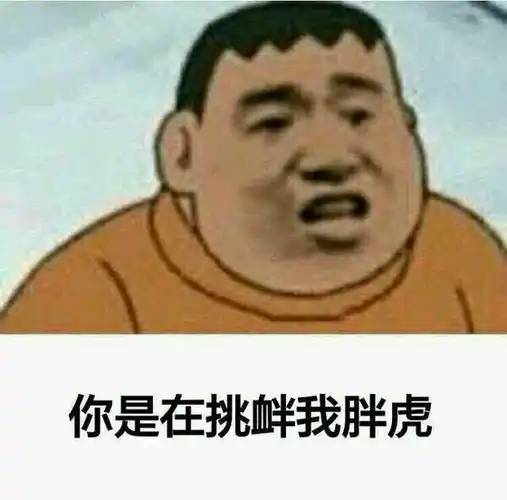 胖虎
