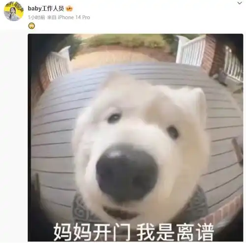 angelababy关喆酒吧同玩上热搜,杨颖助理晒表情包回应离谱
