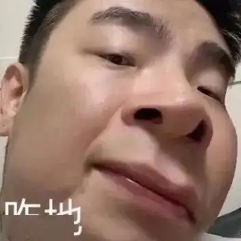 每日精选沙雕表情包
