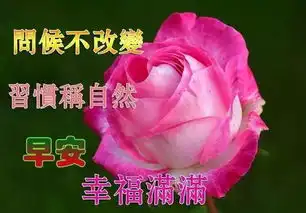 天气渐渐凉了,树叶渐渐黄了,早安,愿你有个美好一天
